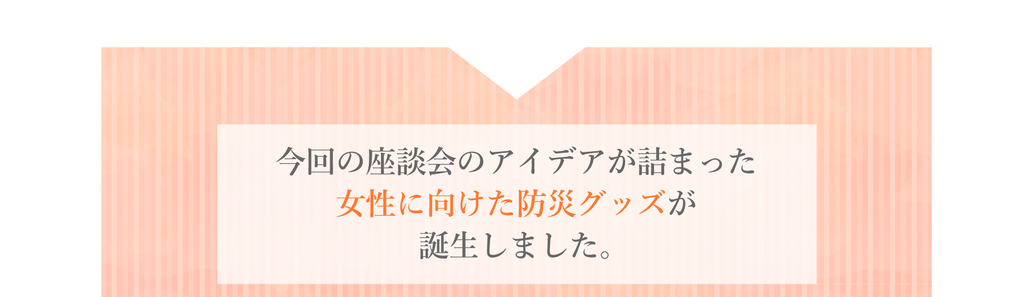 今回の座談会のアイデアが詰まった女性向けの防災グッズが誕生しました。