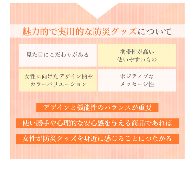 テーマ 2 魅力的で実用的な防災グッズとは？